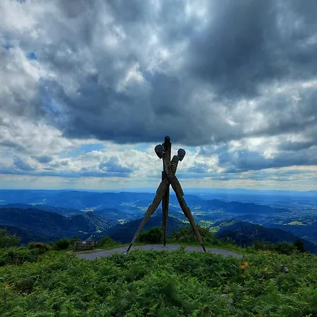 Zeller Waldblick Lejlighed