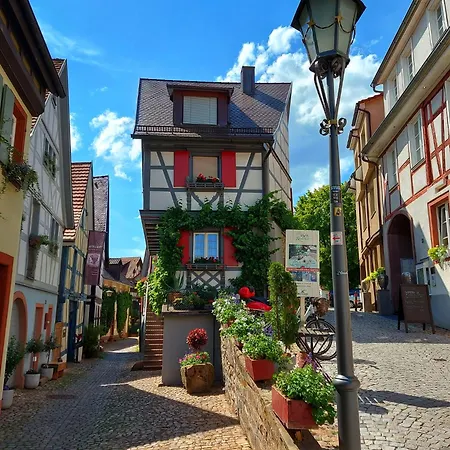 Zeller Waldblick Apartment *