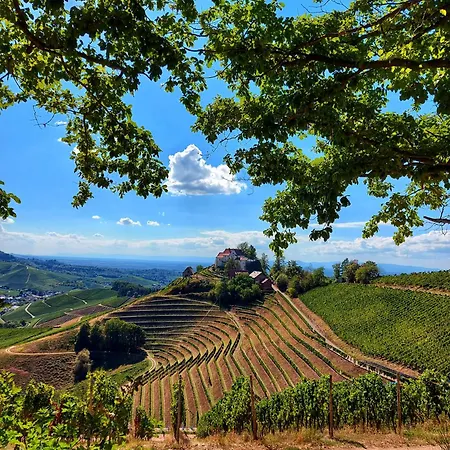 Appartamento Zeller Waldblick Zell am Harmersbach